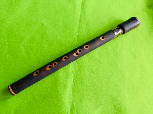 Bambus sax holzblasinstrument - bambus,